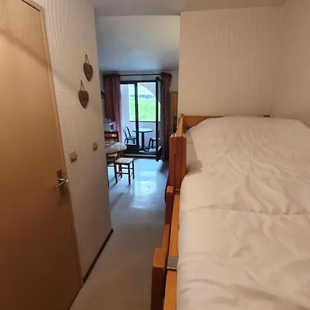 Apartman A La Montagne Meuble Et Entierement Equipe *